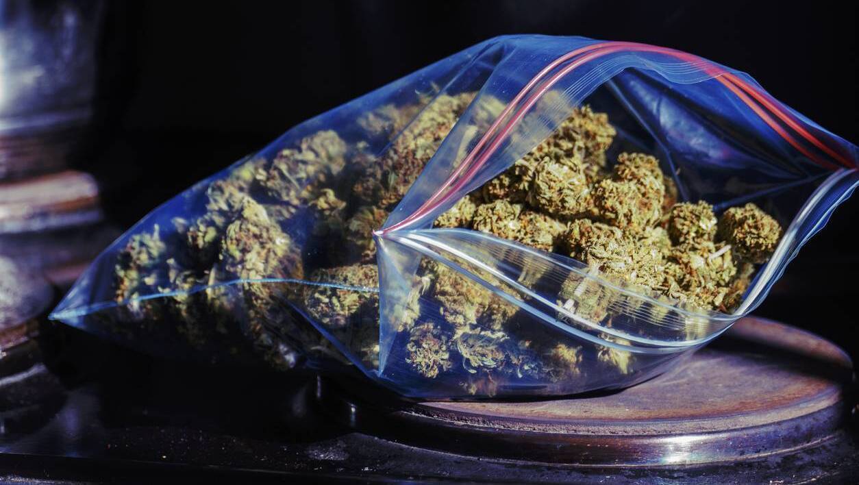 'You should try it': Cork man caught with cannabis suggested gardaí cook with it, court told