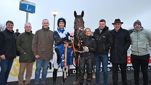 <p>Of Land And Sea and Patrick Mullins won the Irish Stallion Farms EBF Auction (Pro/Am) Flat Race for the Evegallahoo Racing Syndicate and Paul Hennessy at Limerick earlier this month. Picture: Healy Racing</p>