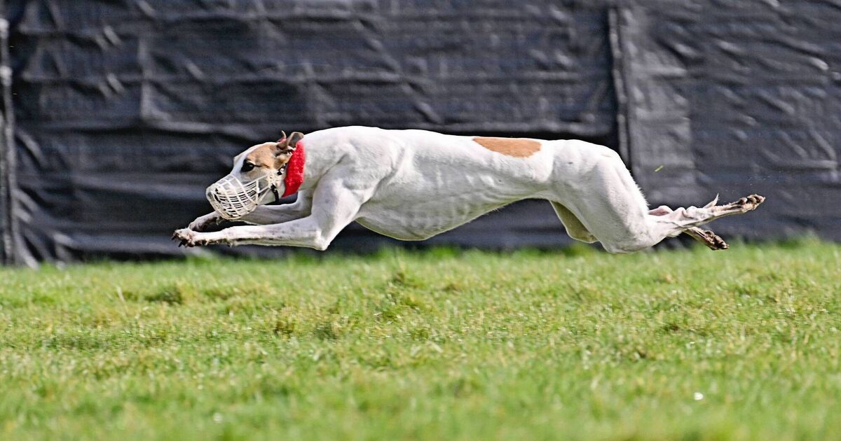 Ashmore Mac fastest in opening round of the Irish Cup