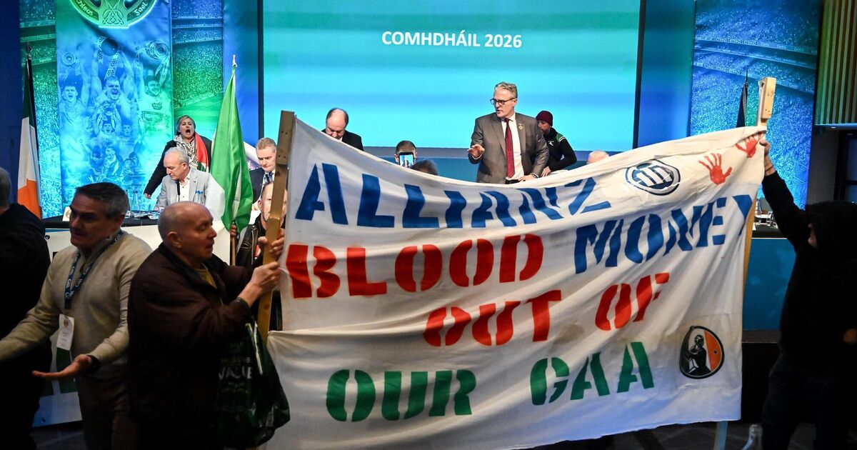 'Allianz Out' protesters breach GAA security to interrupt Congress
