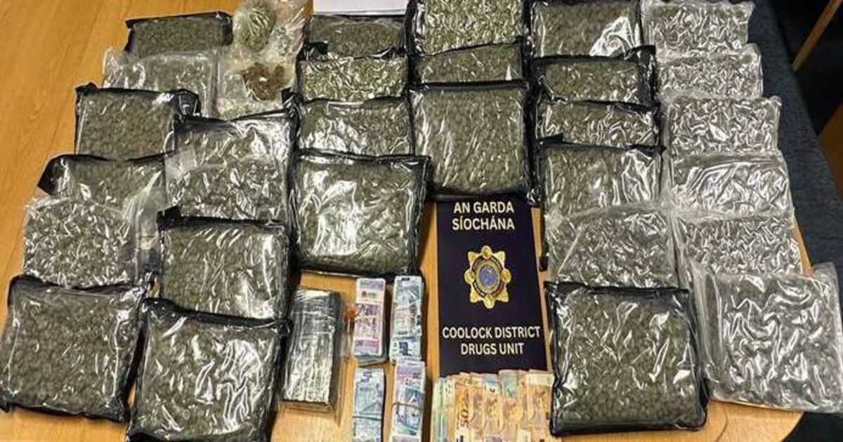 Two men arrested after more than €700k of cannabis and cocaine seized in Dublin