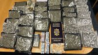 Two men arrested after more than €700k of cannabis and cocaine seized in Dublin