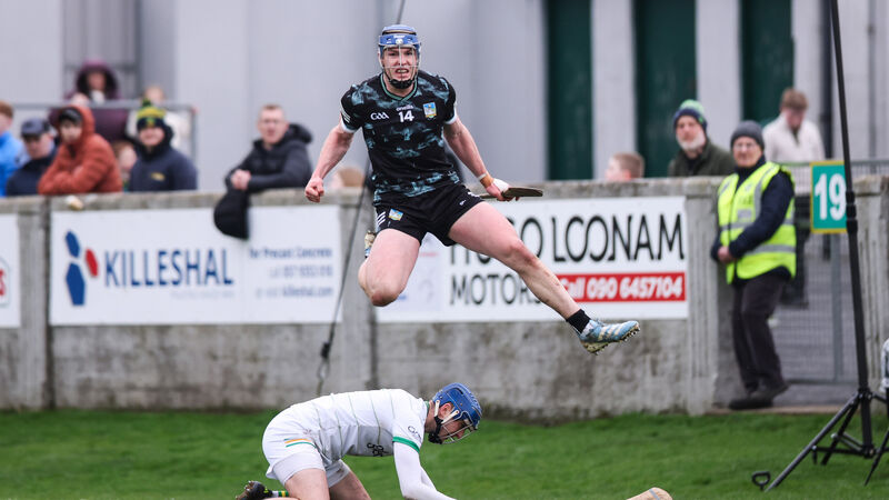 Off-colour Limerick get the job done against gritty Offaly in Tullamore