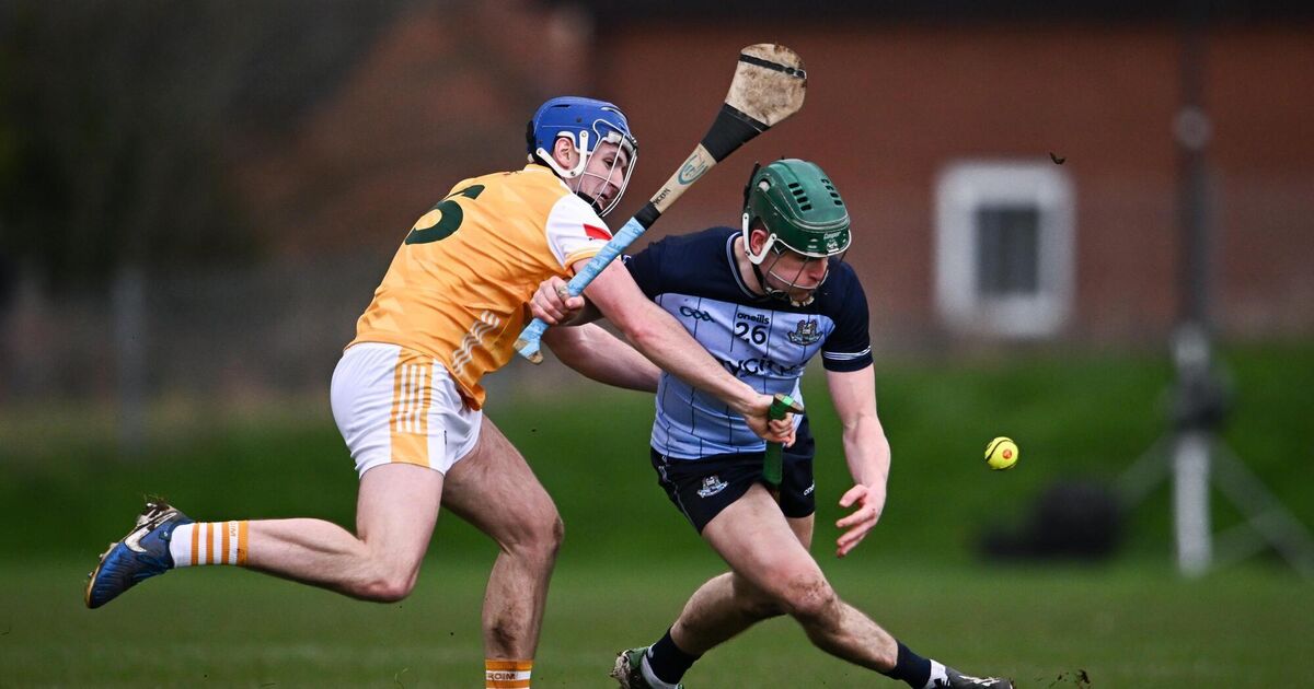 Dublin cruise to dominant fifteen-point victory over Antrim