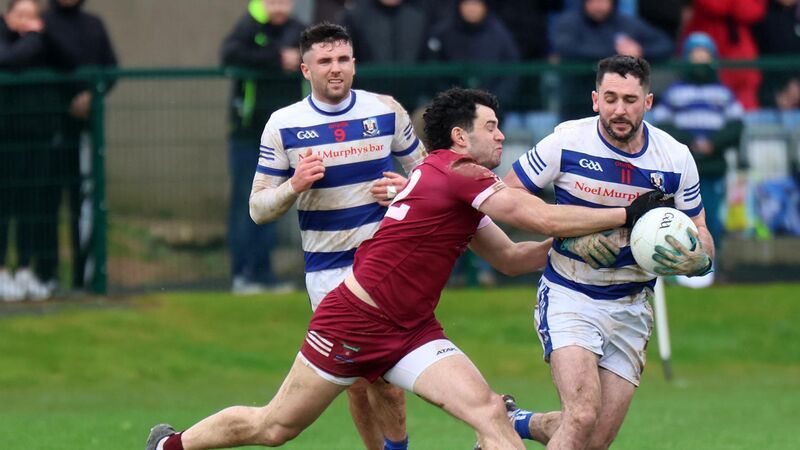 Cromane prove too strong for dogged Ballyphehane in Munster junior B decider