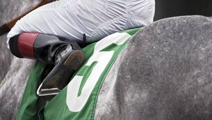 <p>Look out for me at Cheltenham next week, I'll be out in front.</p>