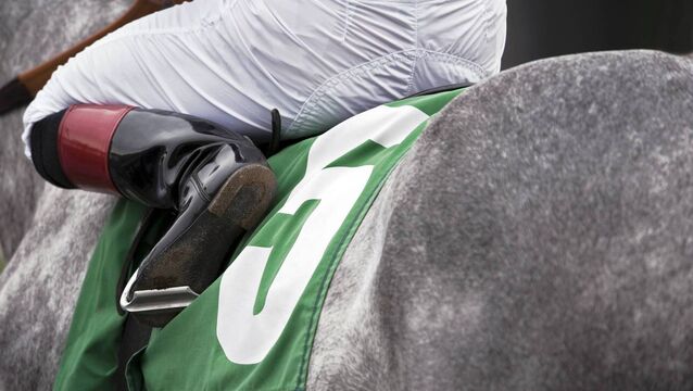 <p>Look out for me at Cheltenham next week, I'll be out in front.</p>