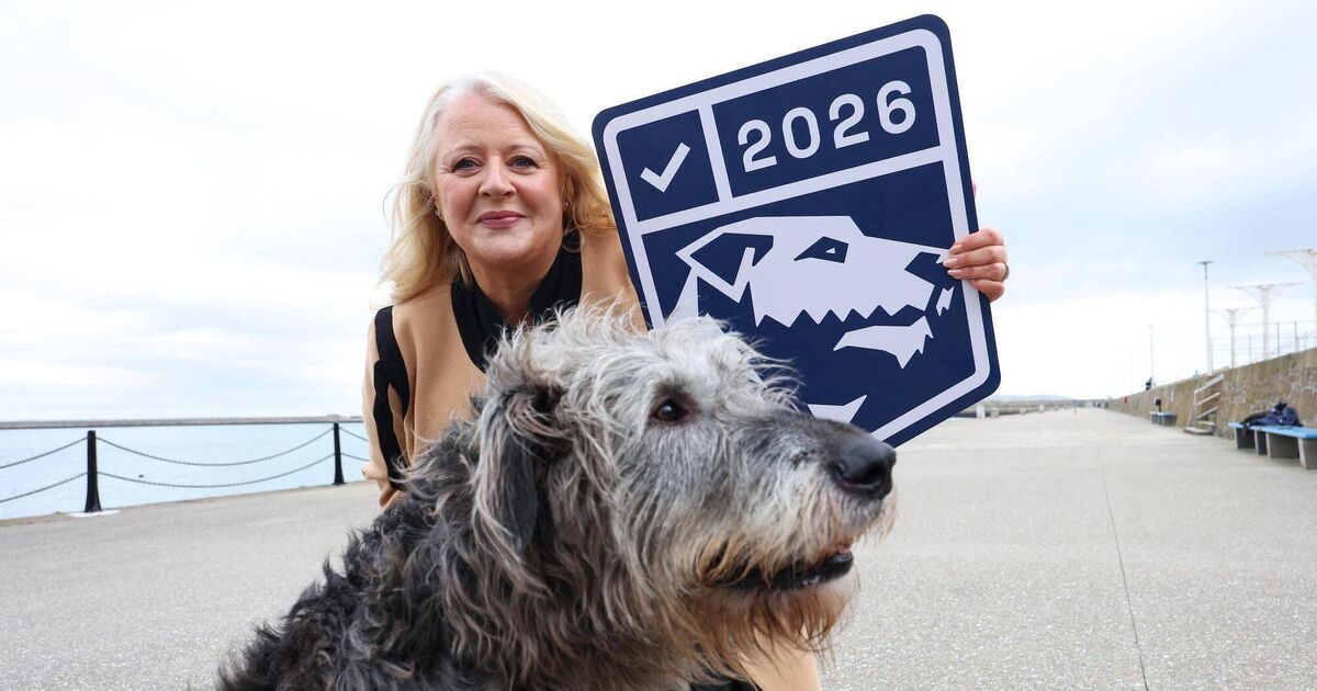 New digital trust mark for Irish organisations 'like an NCT'