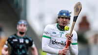 Offaly v Limerick - Allianz Hurling League Division 1A