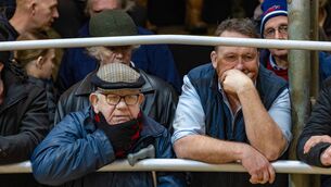 <p>It is wonderful to see marts busy and the beef trade booming. Ringsides were packed with farmers buying and selling. File picture</p>