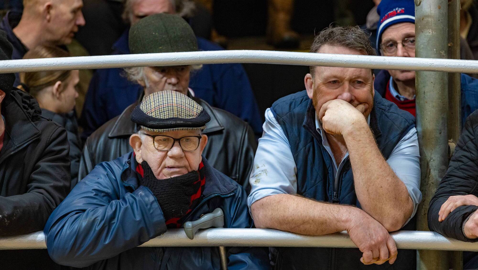 It is wonderful to see marts busy and the beef trade booming. Ringsides were packed with farmers buying and selling. File picture