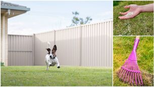 <p>March is an excellent month for sowing grass seed, writes Peter Dowdall. File picture</p> <p>March is an excellent month for sowing grass seed, writes Peter Dowdall. File picture</p>