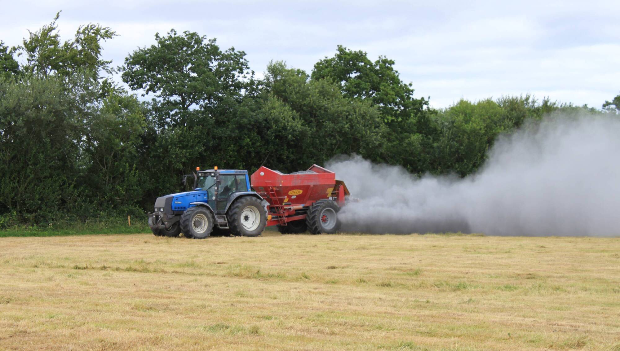 Siobhan Kavanagh: Don’t wait for autumn — take every chance to get lime out