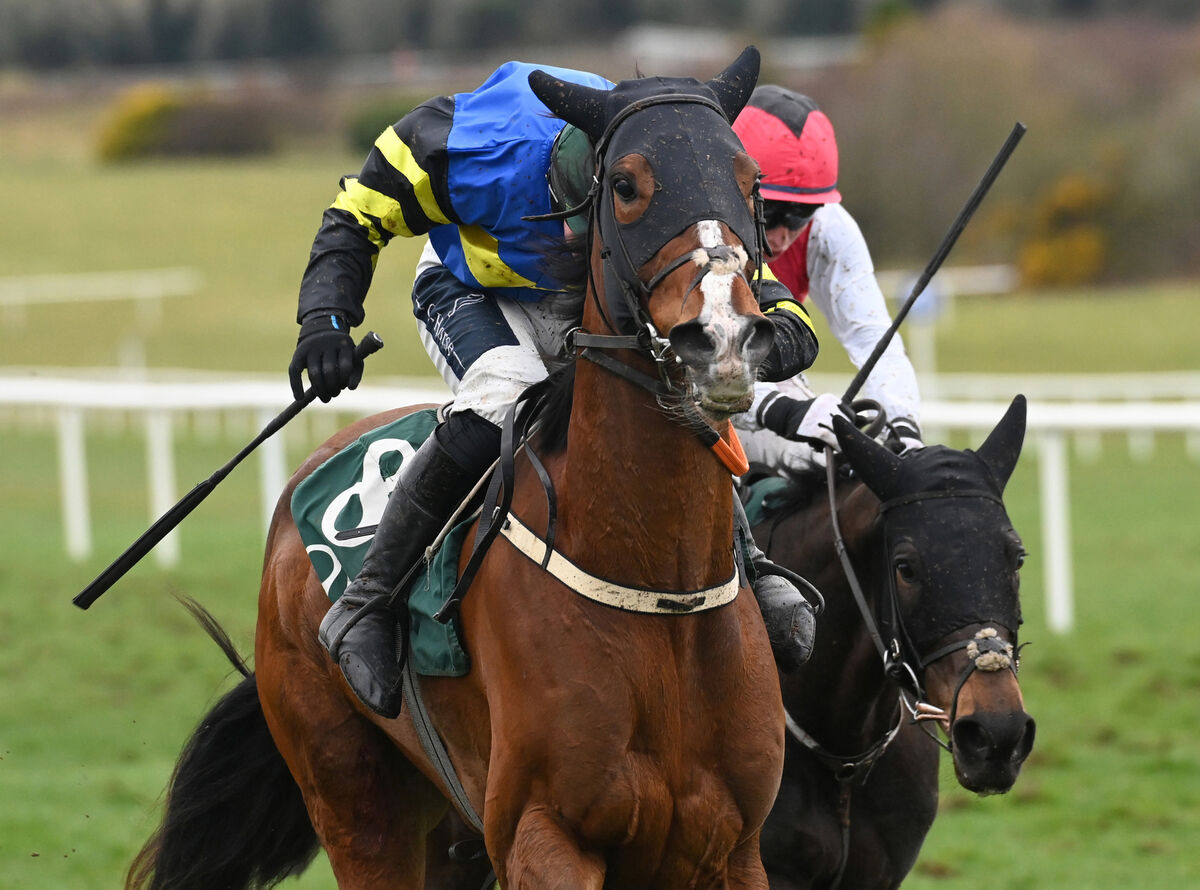 Jay Pee M runs in the John Thomas McNamara Series Handicap Chase. Pic: Healy Racing