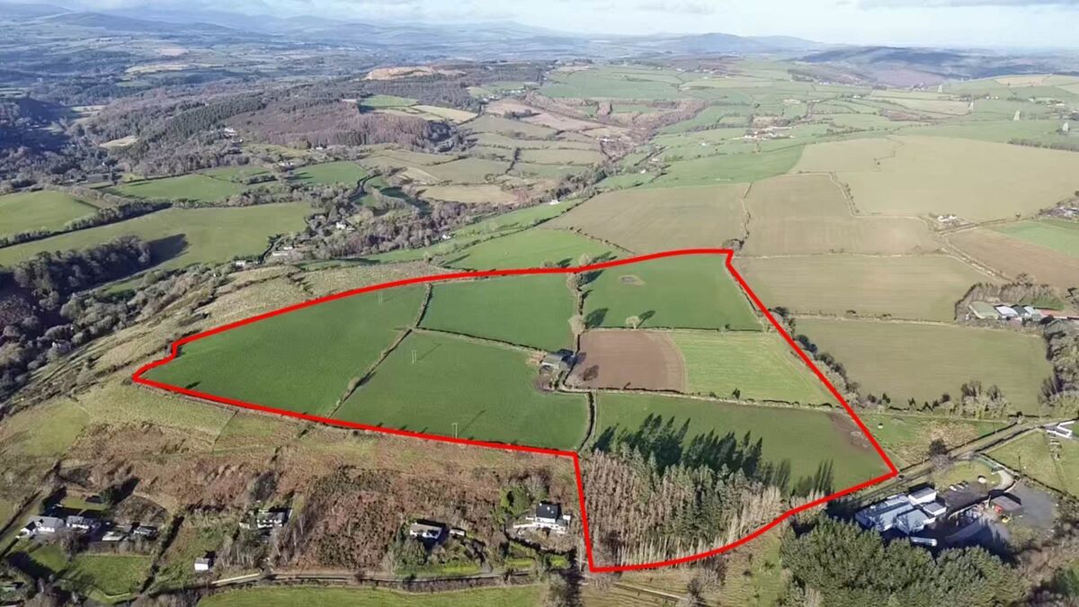 Aerial marked view of the 44-acre farm at Knockanree, Avoca, sold recently at auction online and at the Arklow Bay Hotel. 