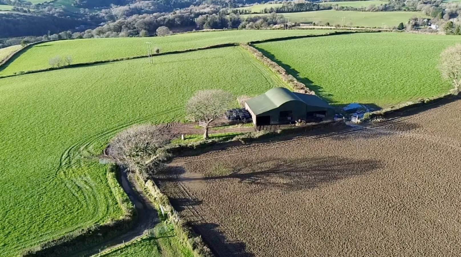 View of the outbuildings on the 44-acre farm at Knockanree, Avoca, which sold at auction. 
