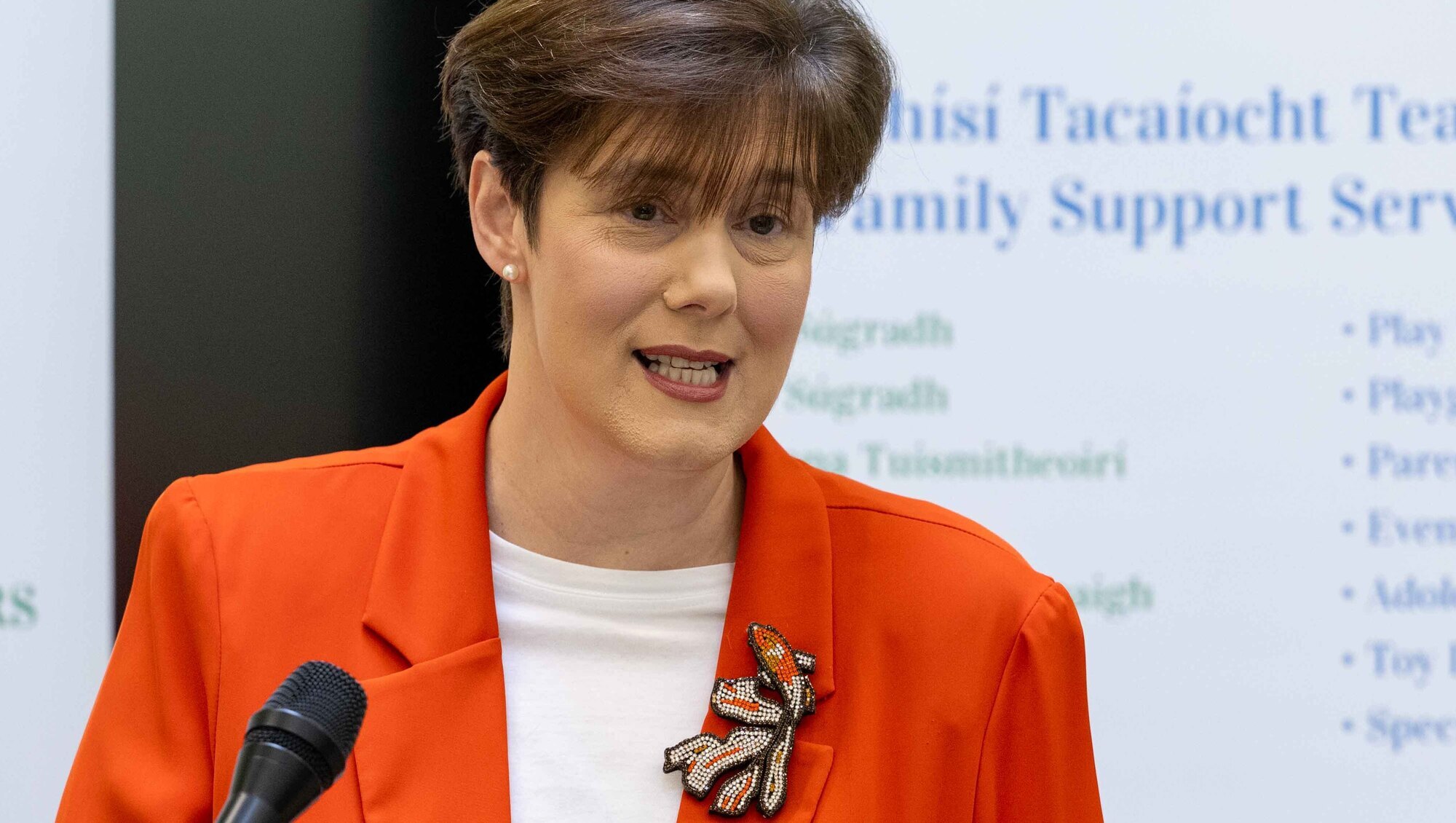 Proposal for Tusla welfare checks on 18,000 young people whose cases were closed during covid