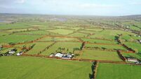 51-acre Cork farm fetches €23,000/acre in lively auction