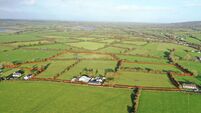 51-acre Cork farm fetches €23,000/acre in lively auction