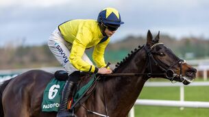 <p>Marine Nationale will miss the Cheltenham Festival through injury. Pic: INPHO</p>