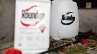 Bayer Keeps Roundup Faith After Losing Second Trial on Cancer