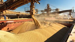 <p>Any disruption of feed ingredients could be keenly felt in Ireland, which is only about 36% self-sufficient in animal feed, and relies on imports mostly coming from North and South America.</p>