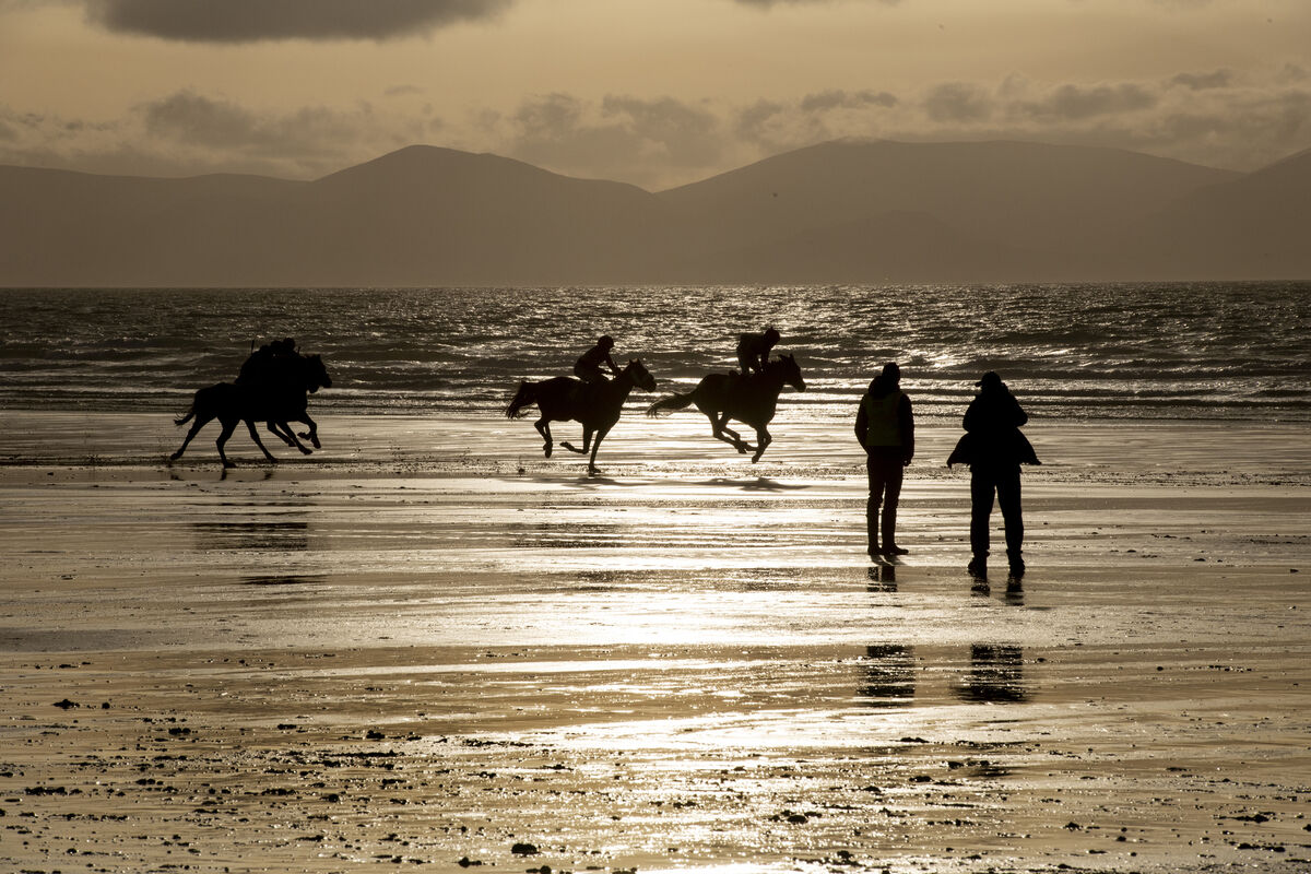 The Ballyheigue Strand Horse and Pony Races, taking place on the beach in North Kerry.  Photo:  Domnick Walsh