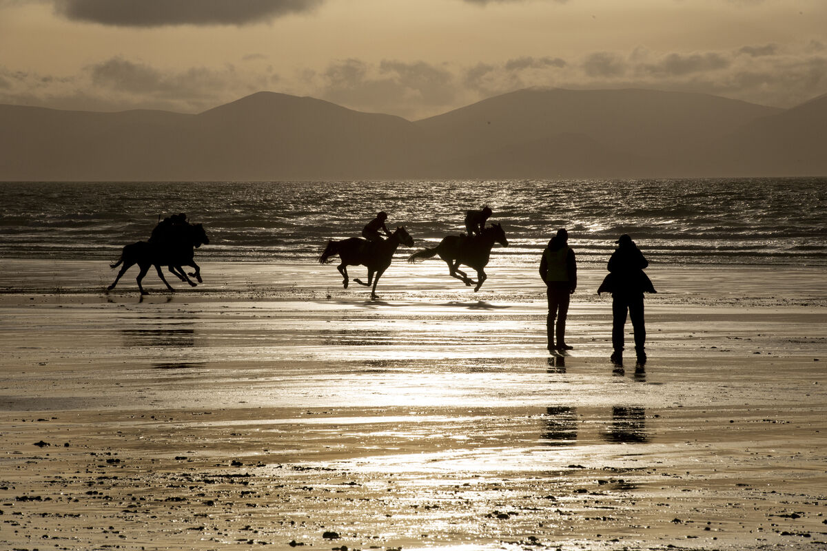 The Ballyheigue Strand Horse and Pony Races, taking place on the beach in North Kerry. Photo: Domnick Walsh The Ballyheigue Strand Horse and Pony Races, taking place on the beach in North Kerry. Photo: Domnick Walsh