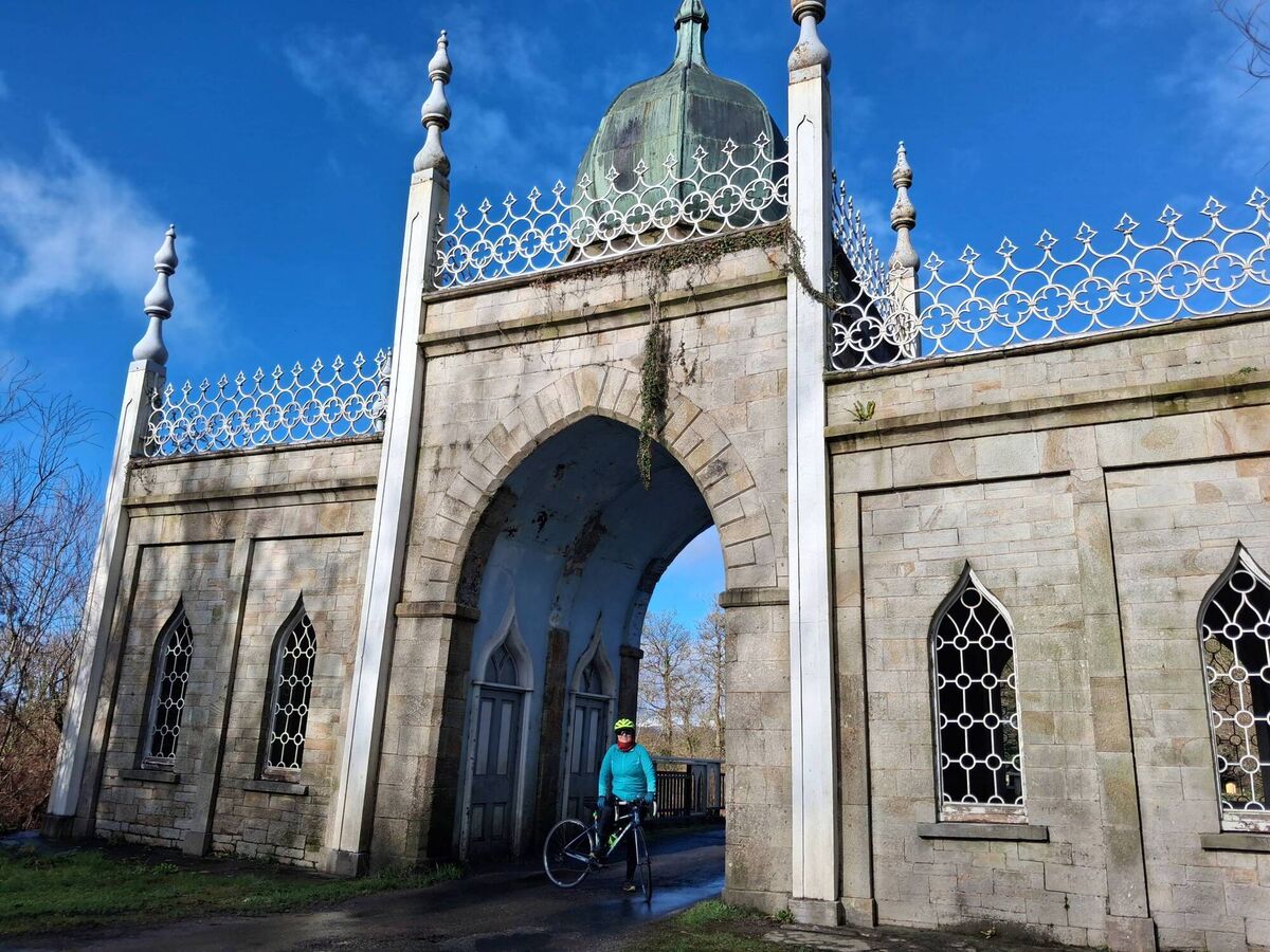 Dan MacCarthy taking a break at Villierstown, Co Waterford. Dan MacCarthy taking a break at Villierstown, Co Waterford.