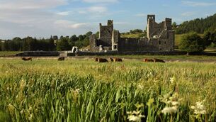 <p>Fore Abbey, Co Westmeath. Photo: Chris Hill, (c) Fáilte Ireland and Westmeath County Council</p> <p>Fore Abbey, Co Westmeath. Photo: Chris Hill, (c) Fáilte Ireland and Westmeath County Council</p>