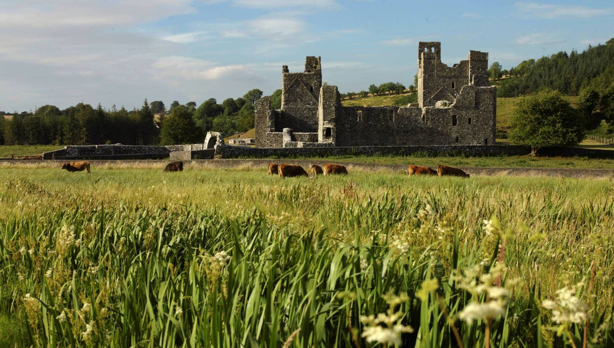 Fore Abbey, Co Westmeath. Photo: Chris Hill, (c) Fáilte Ireland and Westmeath County Council