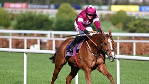 <p>Generous Risk and Sam Ewing win the Golf, Padel, Range At Leopardstown Launching Spring 2026 Maiden Hurdle.</p>