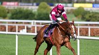 Generous Risk cruises to Leopardstown victory
