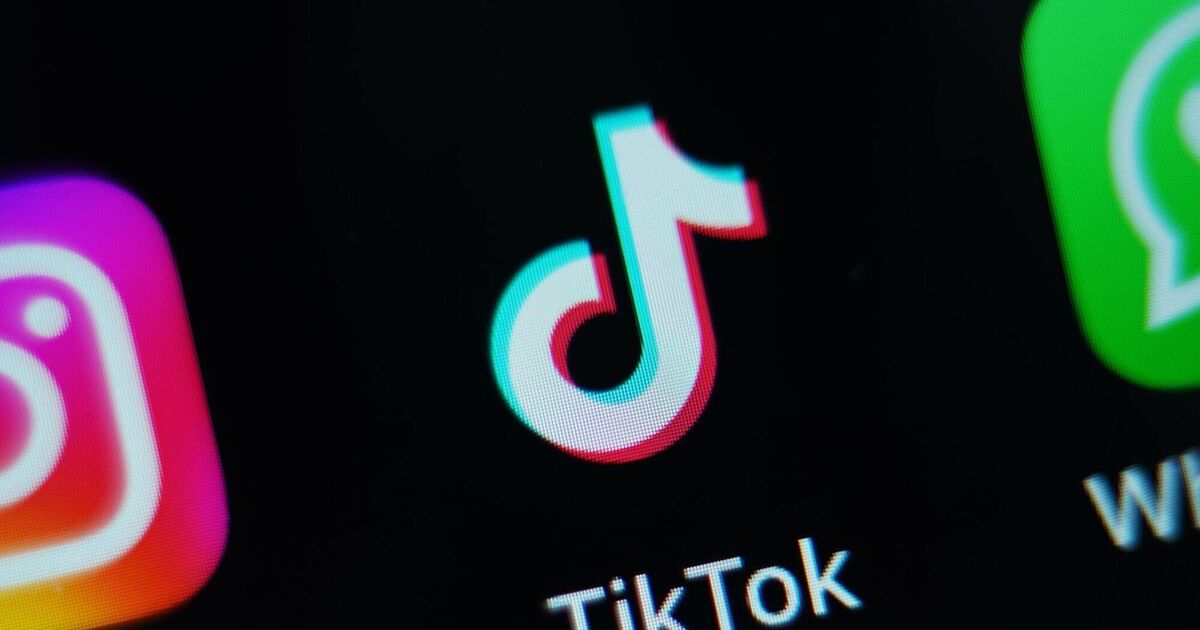 TikTok challenge to DPC privacy breach finding opens before High Court