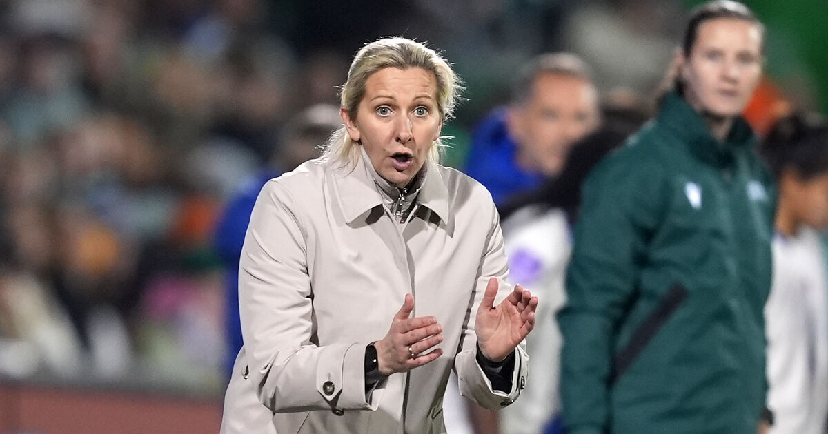 'Gutted' Ward laments lack of equaliser late on against French