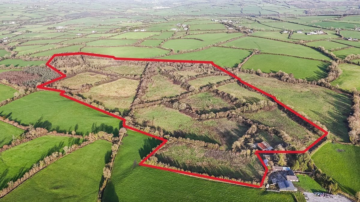 The successful purchaser was from outside the area, auctioneer said.