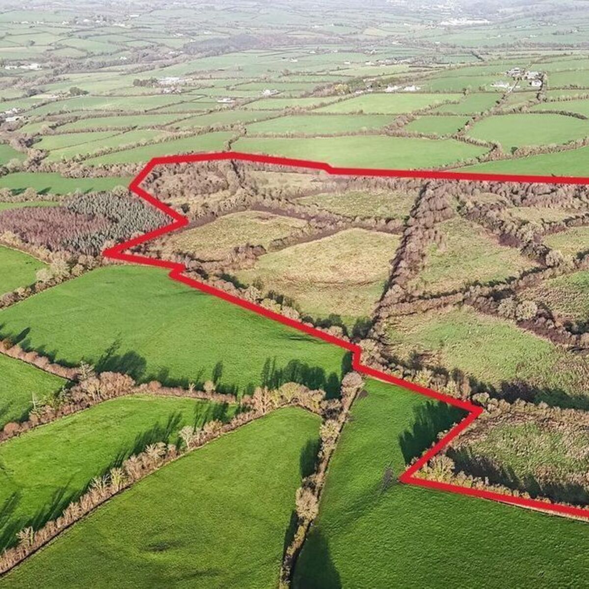 irishexaminer.com - Conor Power - Kilkenny farm sells for €850,000 at lively auction