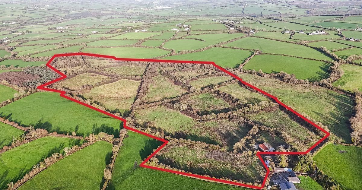 Kilkenny farm sells for &euro;850,000 at lively auction