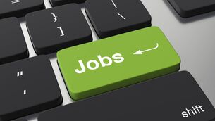 <p>The rate of unemployment was unchanged in Ireland last month, at 4.6%, according to figures published by the Central Statistics Office (CSO) on Wednesday.</p>