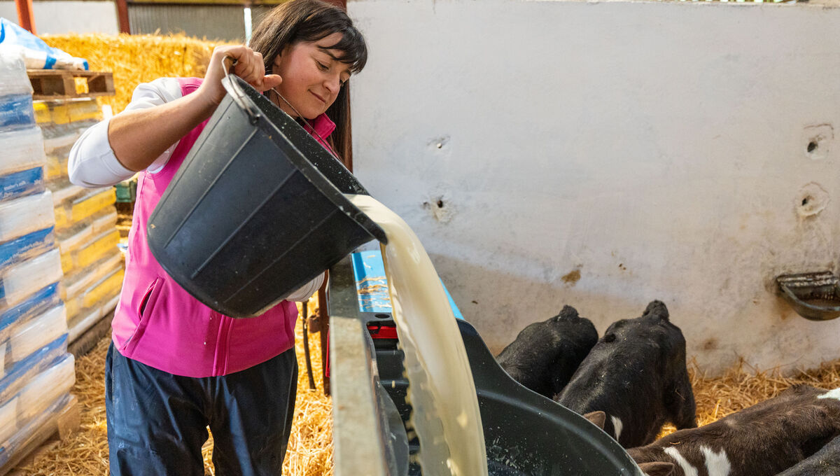 Aileen Sheehan feeding her 2026 calves at Knockanroe House in Whitechurch, Co Cork. Picture: Noel Sweeney Aileen Sheehan feeding her 2026 calves at Knockanroe House in Whitechurch, Co Cork. Picture: Noel Sweeney