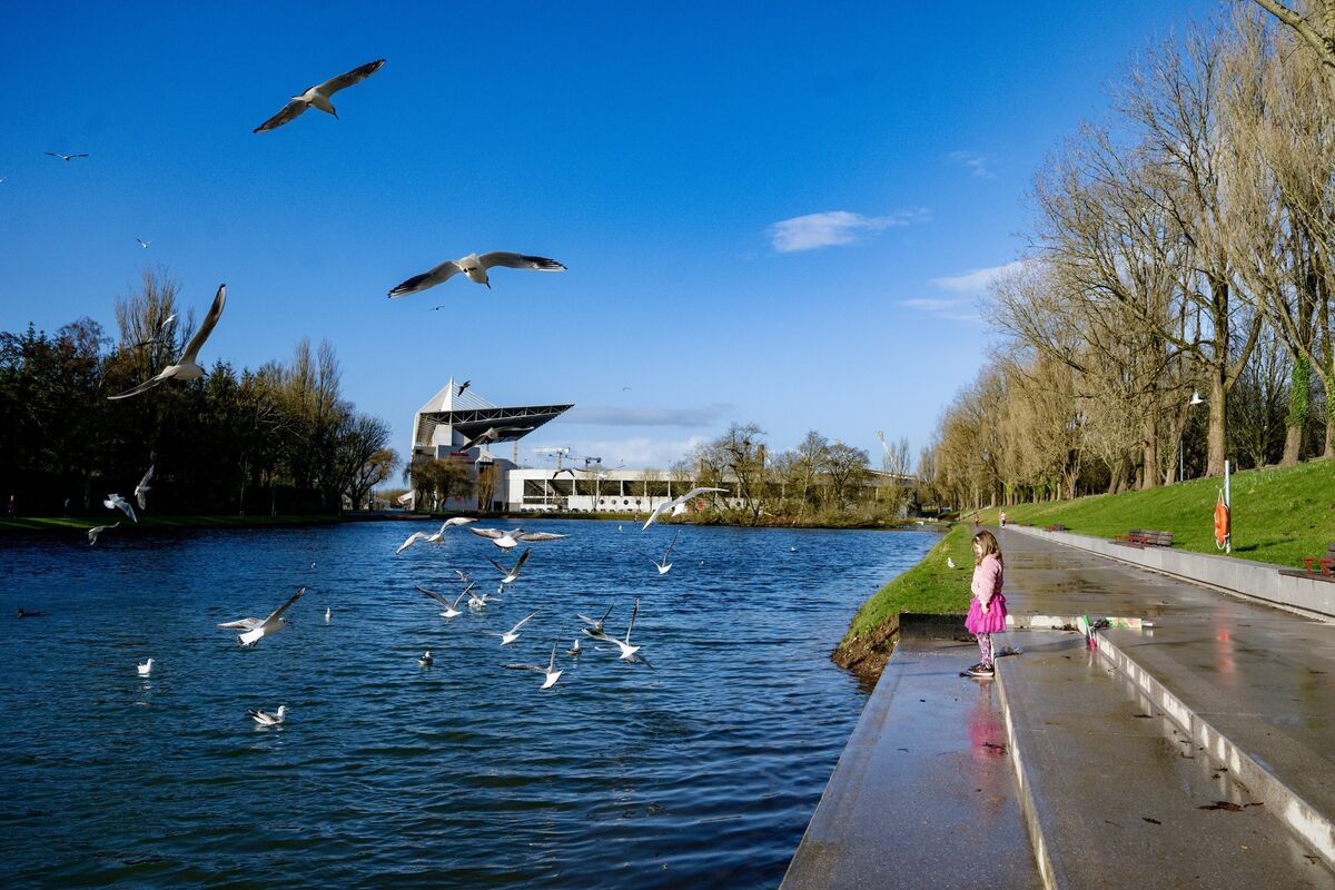 The Atlantic Pond in Marina Park, Cork. We don’t spend nearly enough time in natural environments. Picture: Chani Anderson The Atlantic Pond in Marina Park, Cork. We don’t spend nearly enough time in natural environments. Picture: Chani Anderson