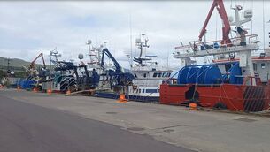 <p>Independent councillor Finbarr Harrington said anything that can be done to support inshore fishermen should be done as they were 'an endangered species' themselves. File picture</p> <p>Independent councillor Finbarr Harrington said anything that can be done to support inshore fishermen should be done as they were 'an endangered species' themselves. File picture</p>