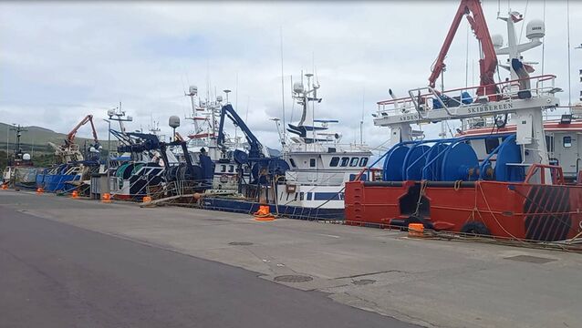 <p>Independent councillor Finbarr Harrington said anything that can be done to support inshore fishermen should be done as they were 'an endangered species' themselves. File picture</p>