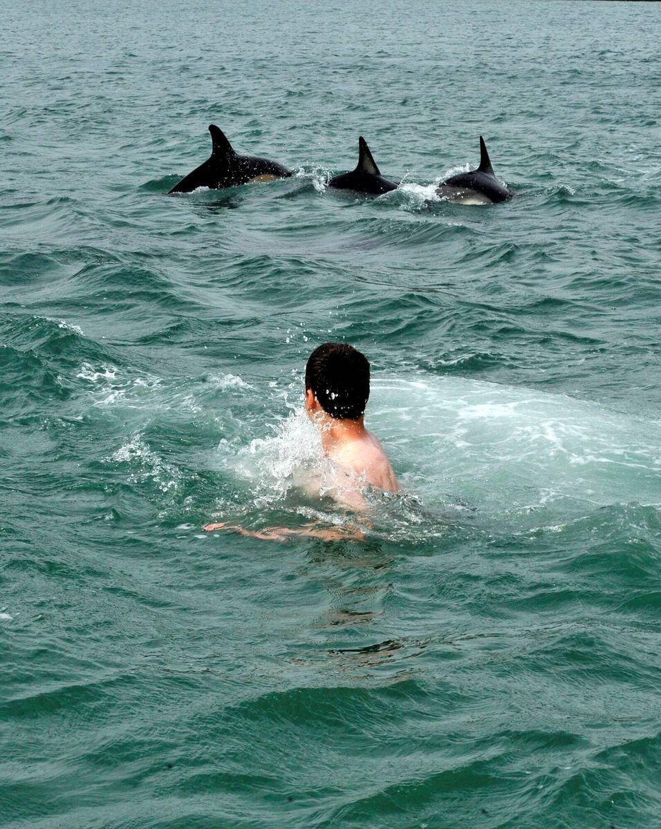 A teenager swimming off Cockel shell beach, where a pod of dolphins was spotted in Crookhaven Harbour, West Cork. Picture: Dan Linehan