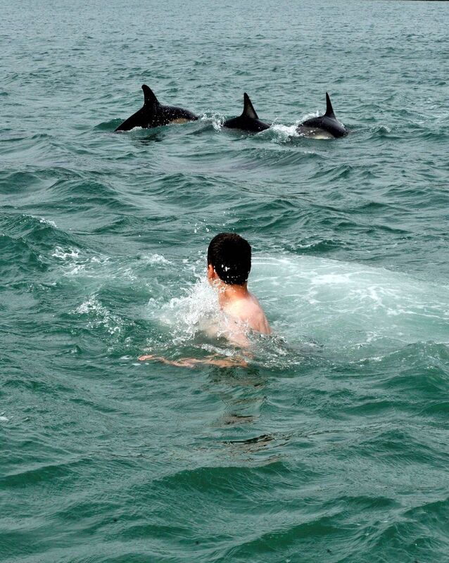 A teenager swimming off Cockel shell beach, where a pod of dolphins was spotted in Crookhaven Harbour, West Cork. Picture: Dan Linehan