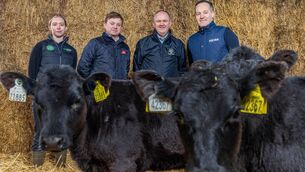 <p>(Left to right) Aoife McCormack, sustainability data specialist at Bord Bia; Stephen Connolly, agri-sustainability manager, ABP; Charles Smith, general manager, Certified Irish Angus; Mick O'Dowd, head of Agri-Business, Kepak.</p> <p>(Left to right) Aoife McCormack, sustainability data specialist at Bord Bia; Stephen Connolly, agri-sustainability manager, ABP; Charles Smith, general manager, Certified Irish Angus; Mick O'Dowd, head of Agri-Business, Kepak.</p>