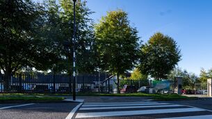 <p> Education / News Marking: XX Carrigaline Community Special School. Picture Chani Anderson</p>