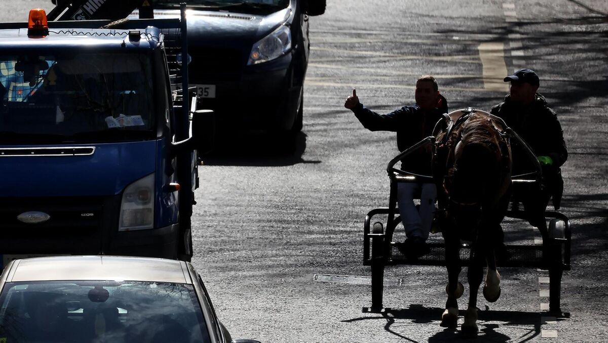 Sulky racers being overtaken by cars on a main road. File picture: Marc O'Sullivan