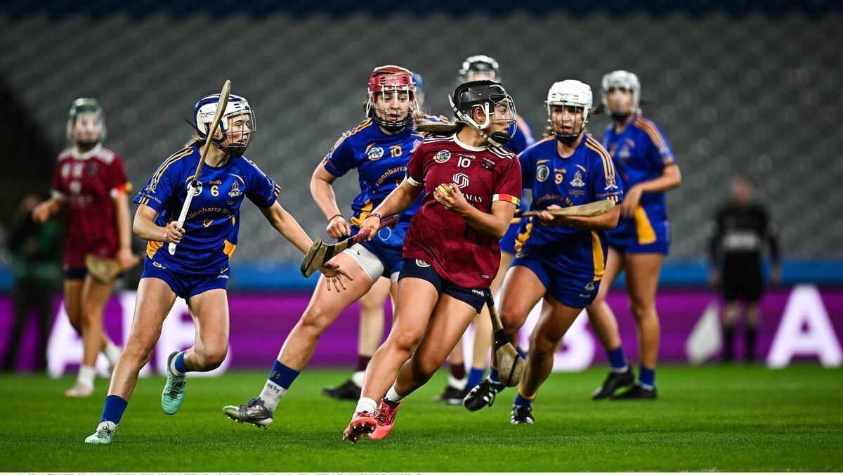 PICK OF THE BUNCH: Finalists Athenry and Barrs claim 13 of the 15 places in the Camogie team of the year. Pic: Seb Daly/Sportsfile