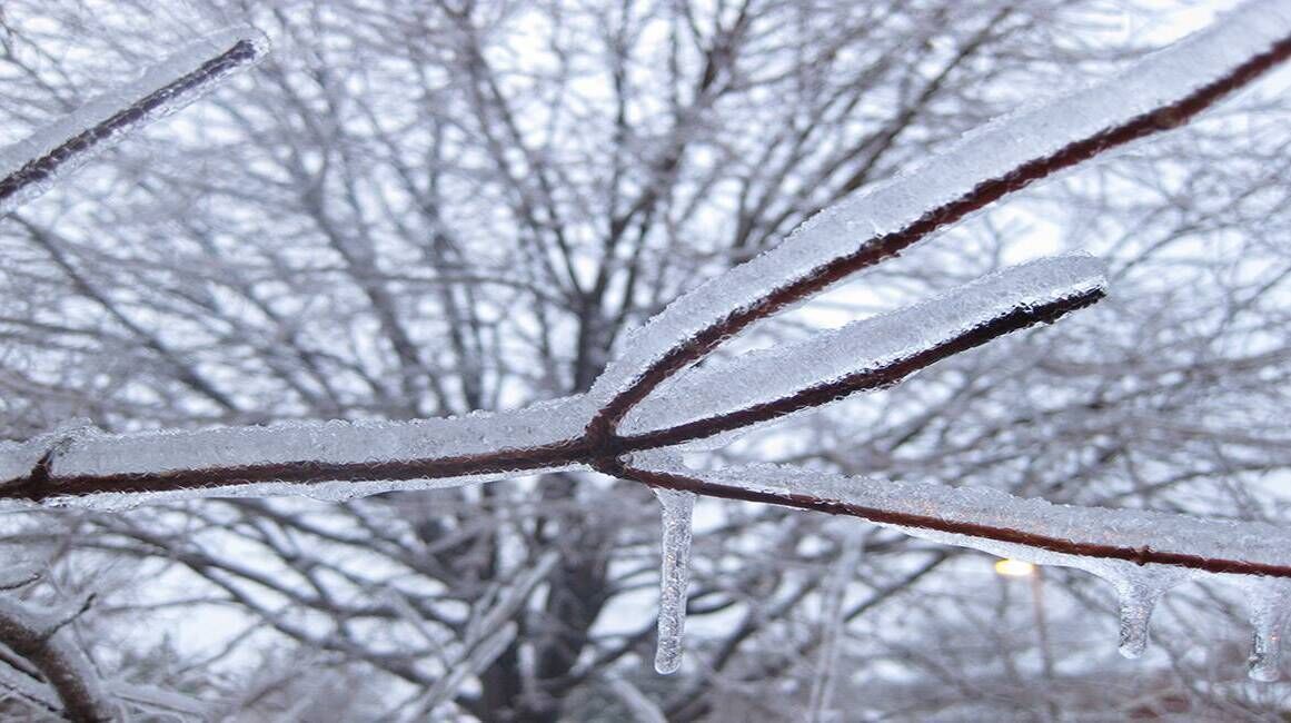 The winter of 1947 is remembered for snowfalls, blizzards, and freezing and stormy conditions, from late January, before the that set in on March 17.